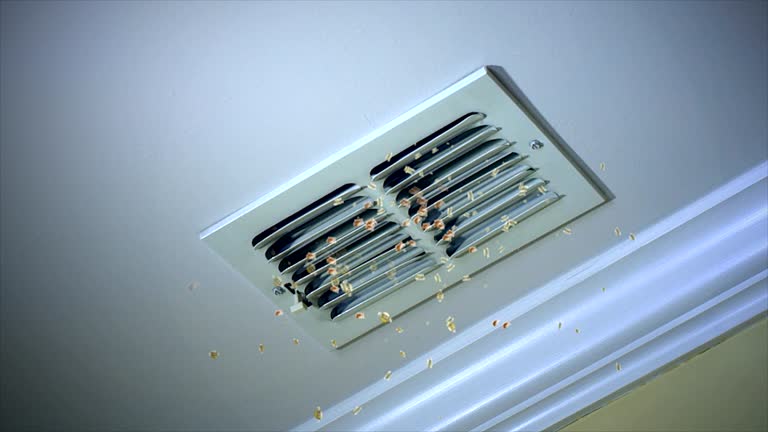 Best Ductwork Cleaning Services  in Pittsfield, IL